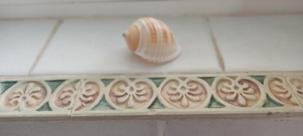 Ferienwohnung Elerin Agia Efimia Exterior foto